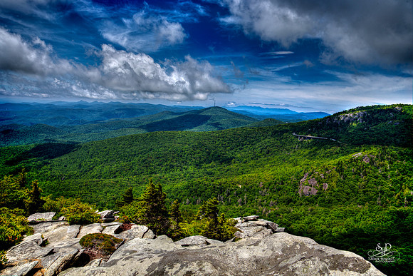 Rough Ridge Trail View