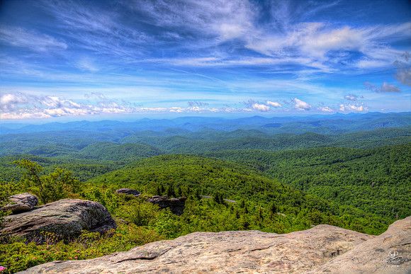 Rough Ridge Trail View